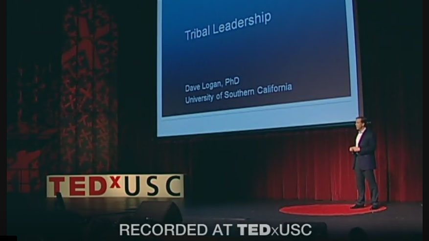 CultureSync and Tribal Leadership: An Introduction CultureSync and Tribal Leadership: An Introduction